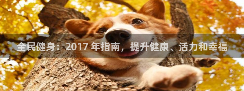 凯时ag旗舰厅：全民健身：2017 年指南，提升健康、活